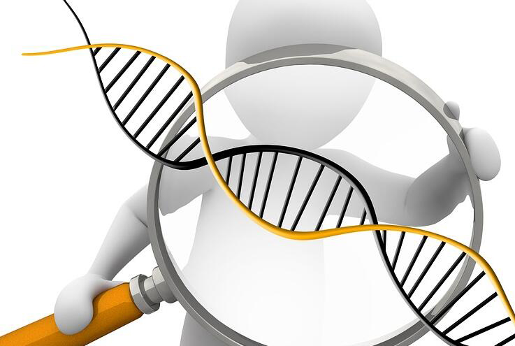 辽宁DNA亲子鉴定机构,辽宁亲子鉴定怎么做